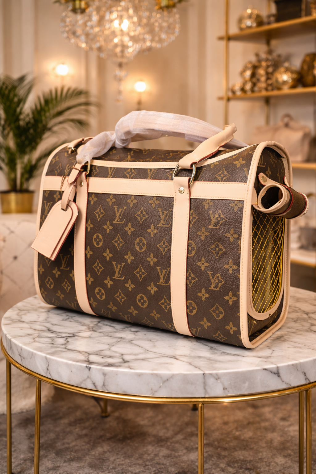 Pet Travel Carrier